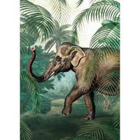 Fototapete Elefant - Multicolor, Basics, Papier/Kunststoff (200/280cm)