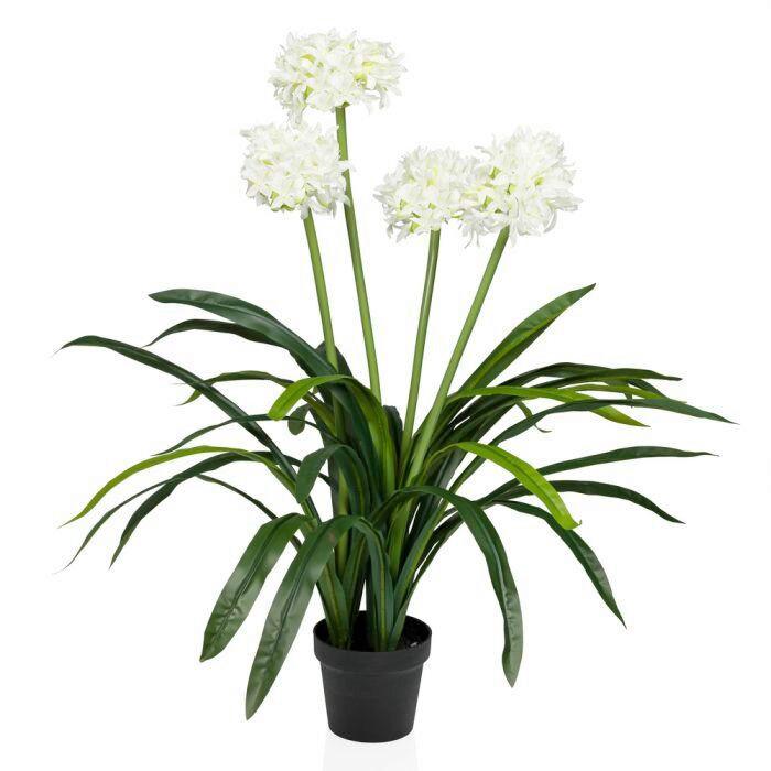 KUNSTPFLANZE Grün/Weiß/Schwarz B: 46 cm - Schwarz/Weiß, MODERN, Kunststoff (46/100/46cm) - MID.YOU