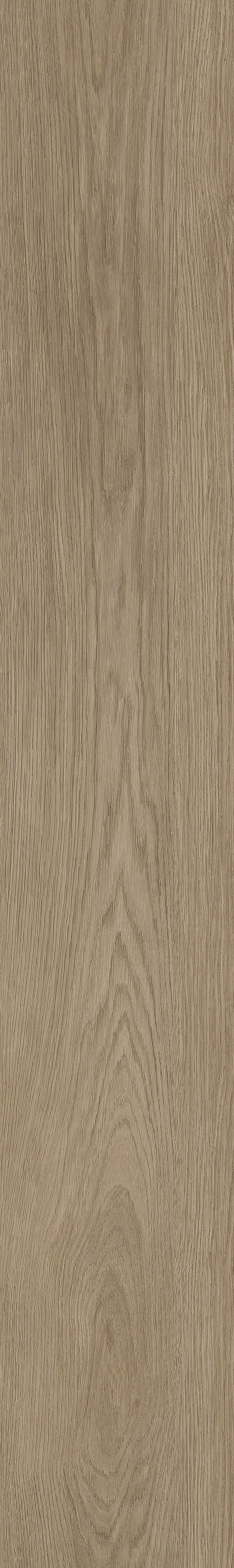 Vinylboden 4052 - Eichefarben, Basics, Kunststoff (18,2/122/0,32cm)