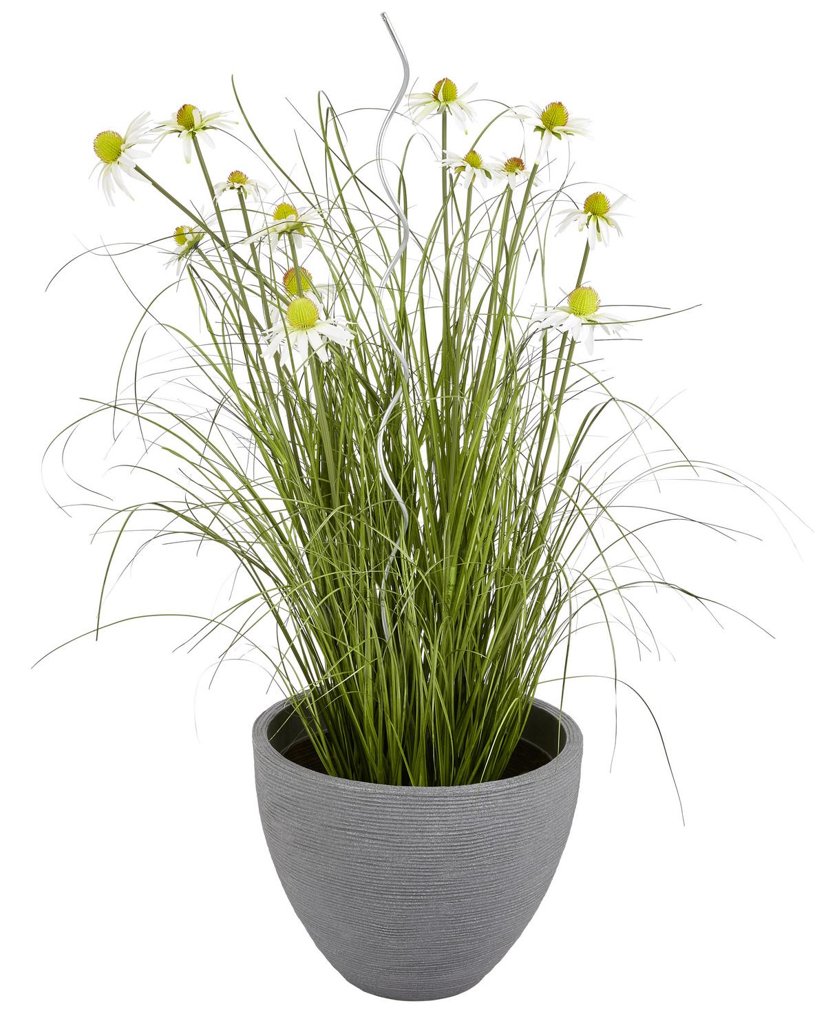 Rankhilfe Spiralstab Wetterfest Aluminium H: 110 Cm - Chromfarben/Silberfarben, KONVENTIONELL, Metall (1/110cm) - Homezone