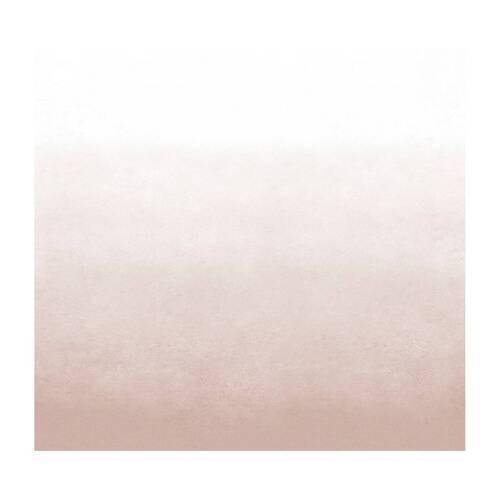 Fototapete Degrade Soft Clay - Rosa, Trend, Papier/Kunststoff (300/300cm)