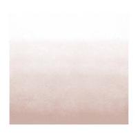 Fototapete Degrade Soft Clay - Rosa, Trend, Papier/Kunststoff (300/300cm)