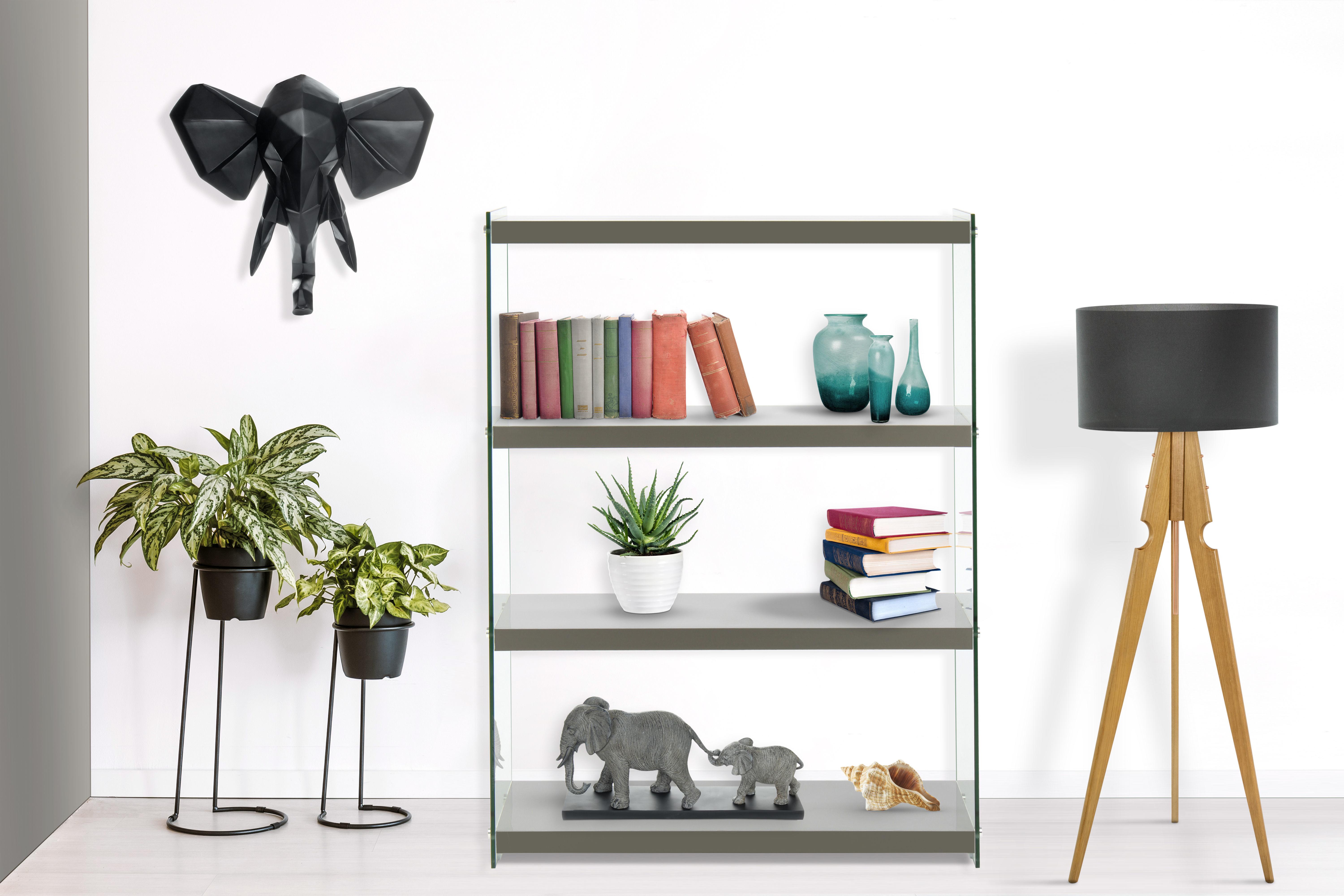 Regal Elementary B: 29,5 cm Grau/Glas
