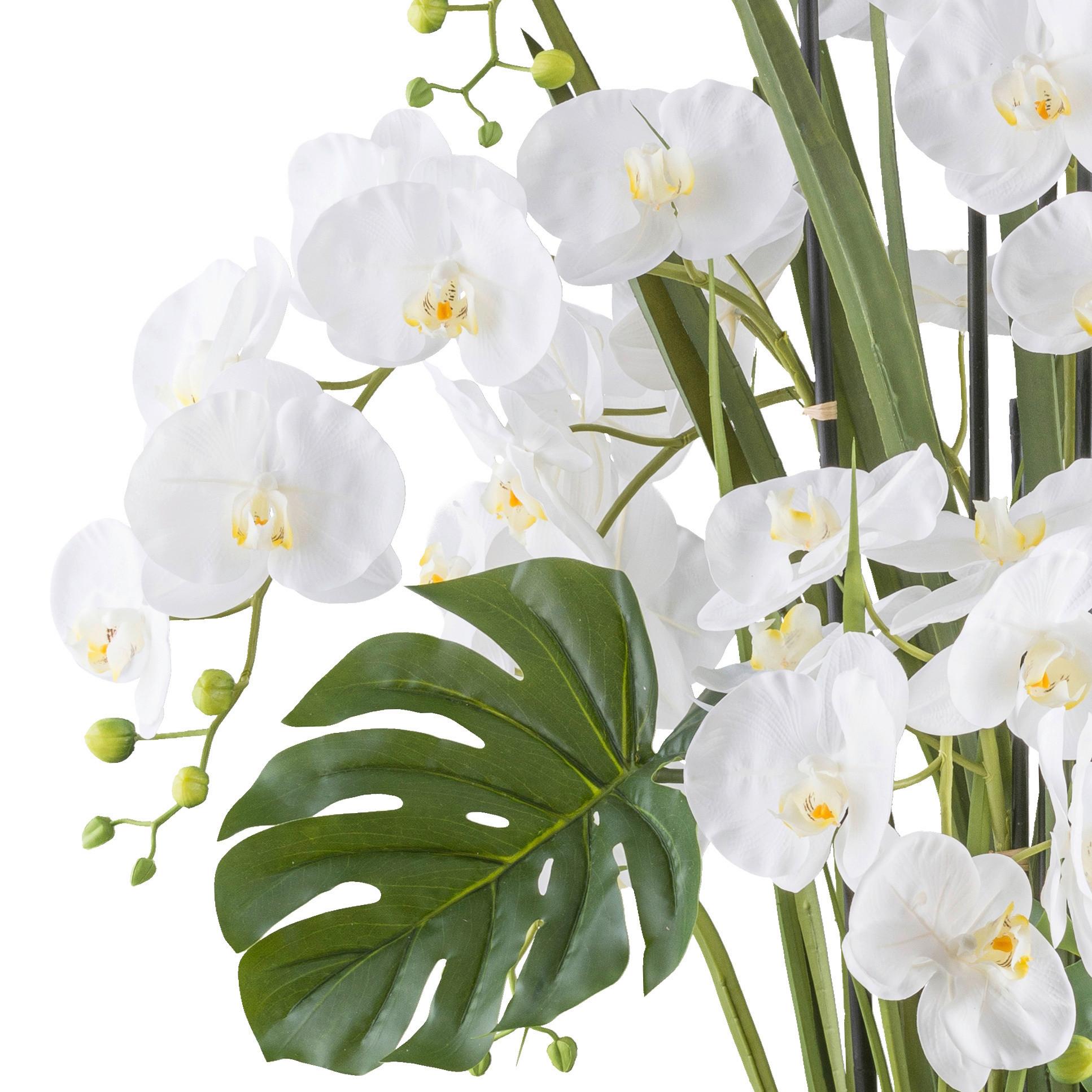 Kunstpflanze Orchideen Creme/grün/weiß, 120 Cm - Creme/Weiß, Design, Kunststoff (120cm) - P & B