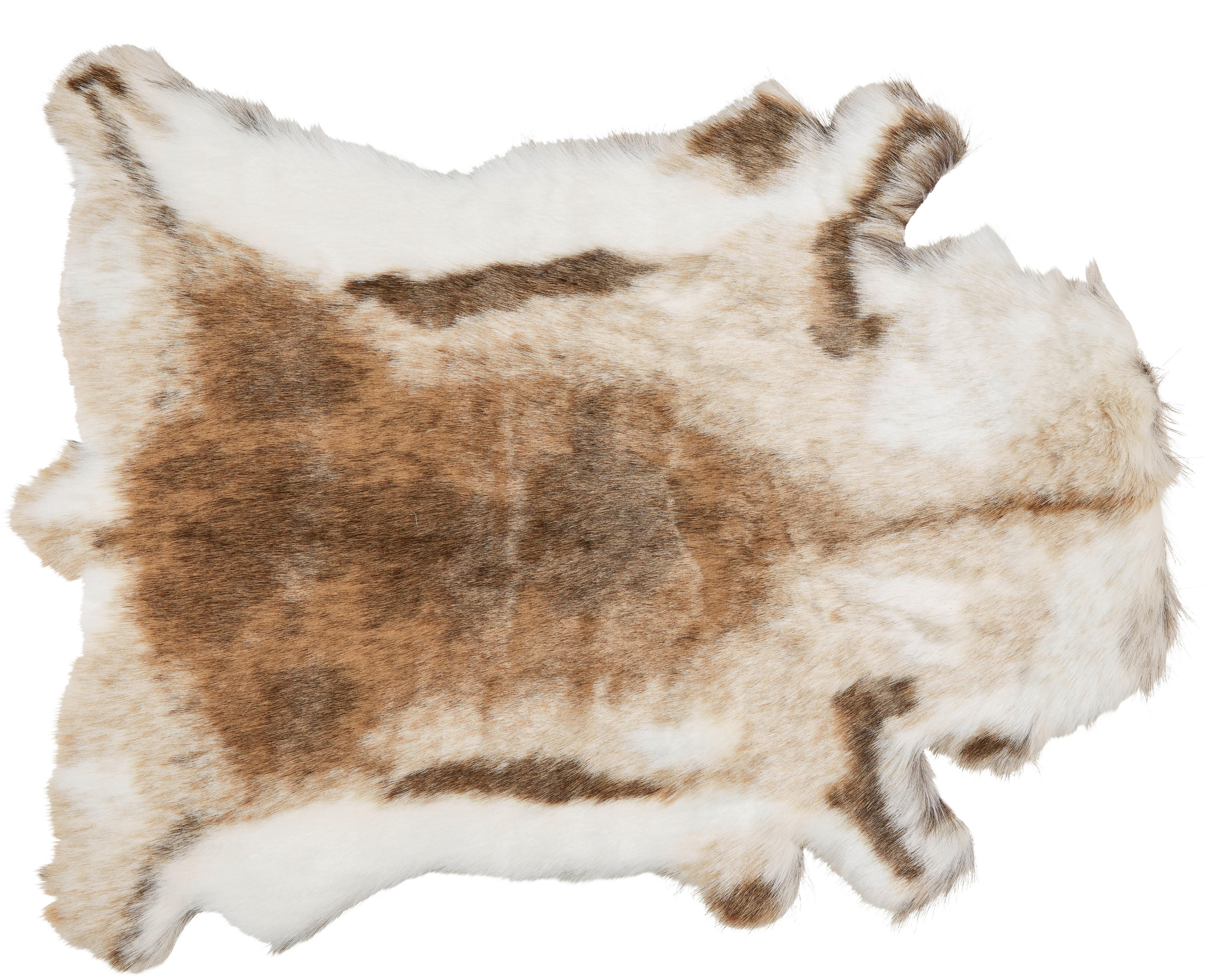 UMĚLÁ KOŽEŠINA Rudolf, 90/110cm, hnědá - hnědá, Moderní, kožešina/textil (90/110cm) - Modern Living