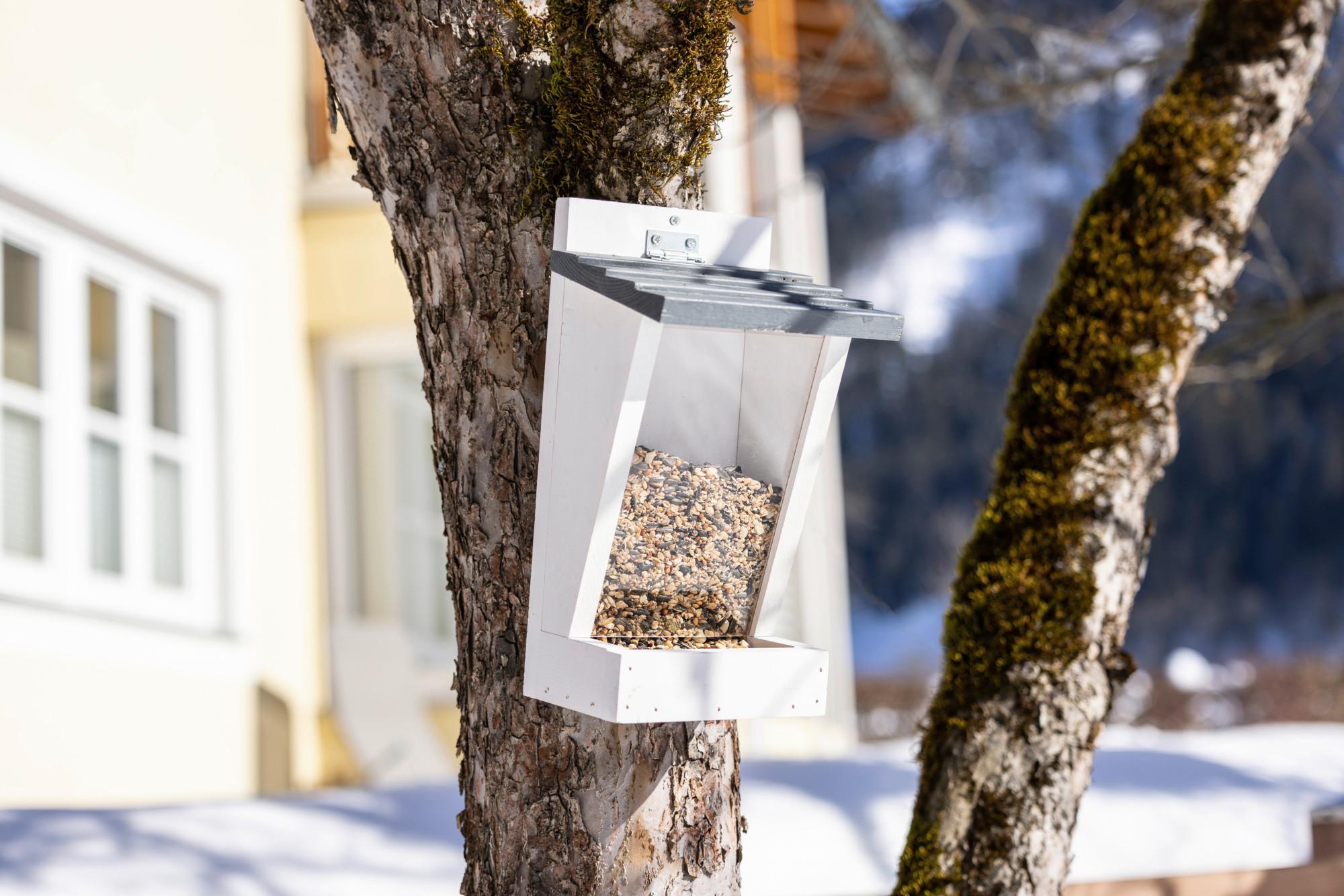 Vogelfutterhaus Buchberg Kiefer
