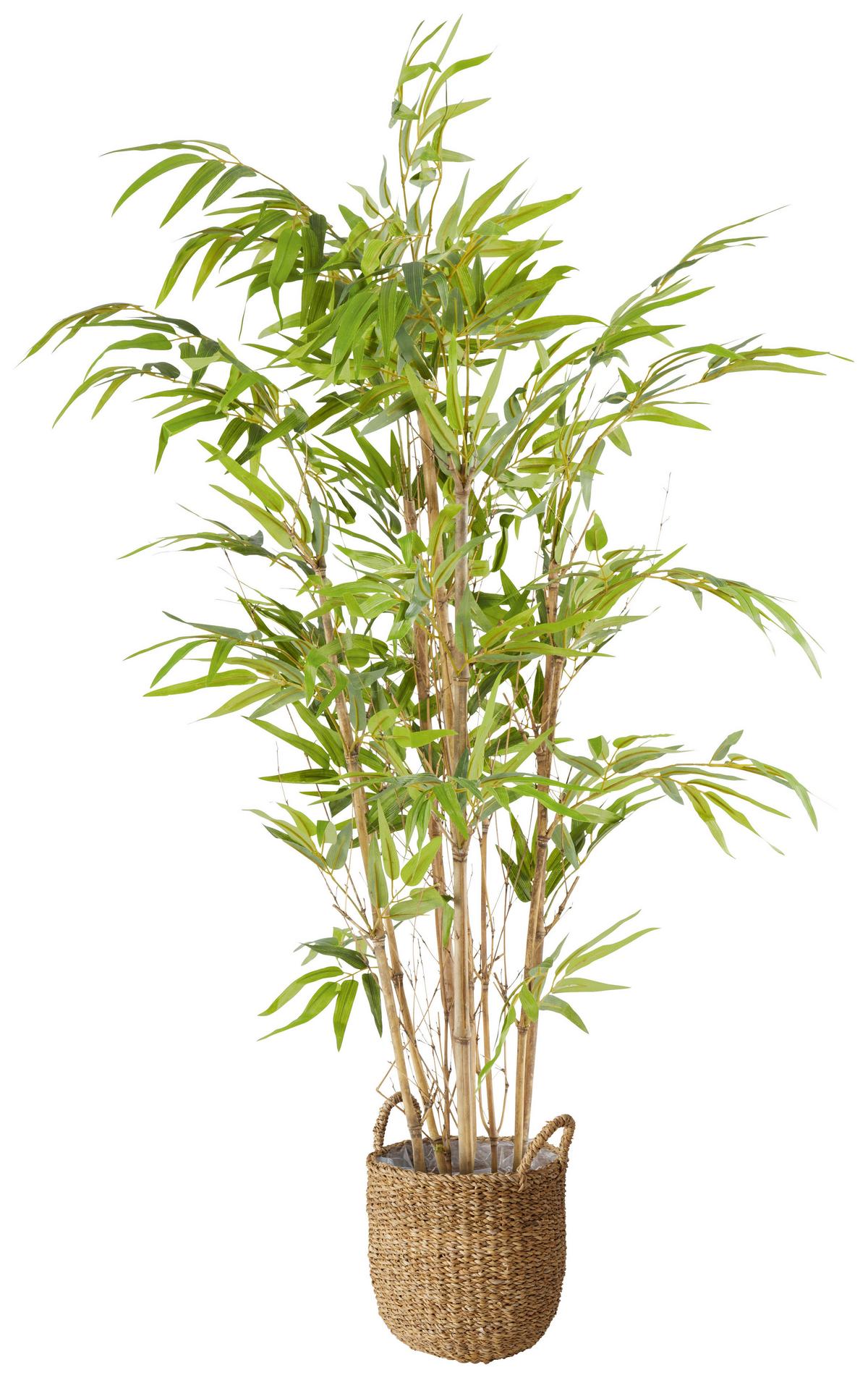 UMĚLÁ ROSTLINA NOAH - zelená/hnědá, plast (120cm) - Modern Living