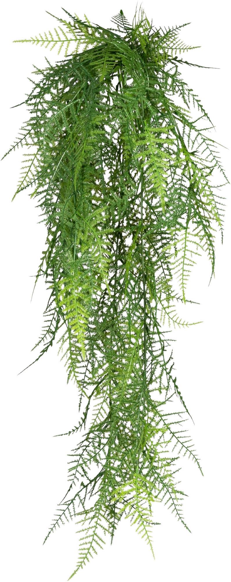 Kunstpflanze, Hängepflanze Grün, H: 80 cm - Grün, Design, Kunststoff (80cm) - P & B