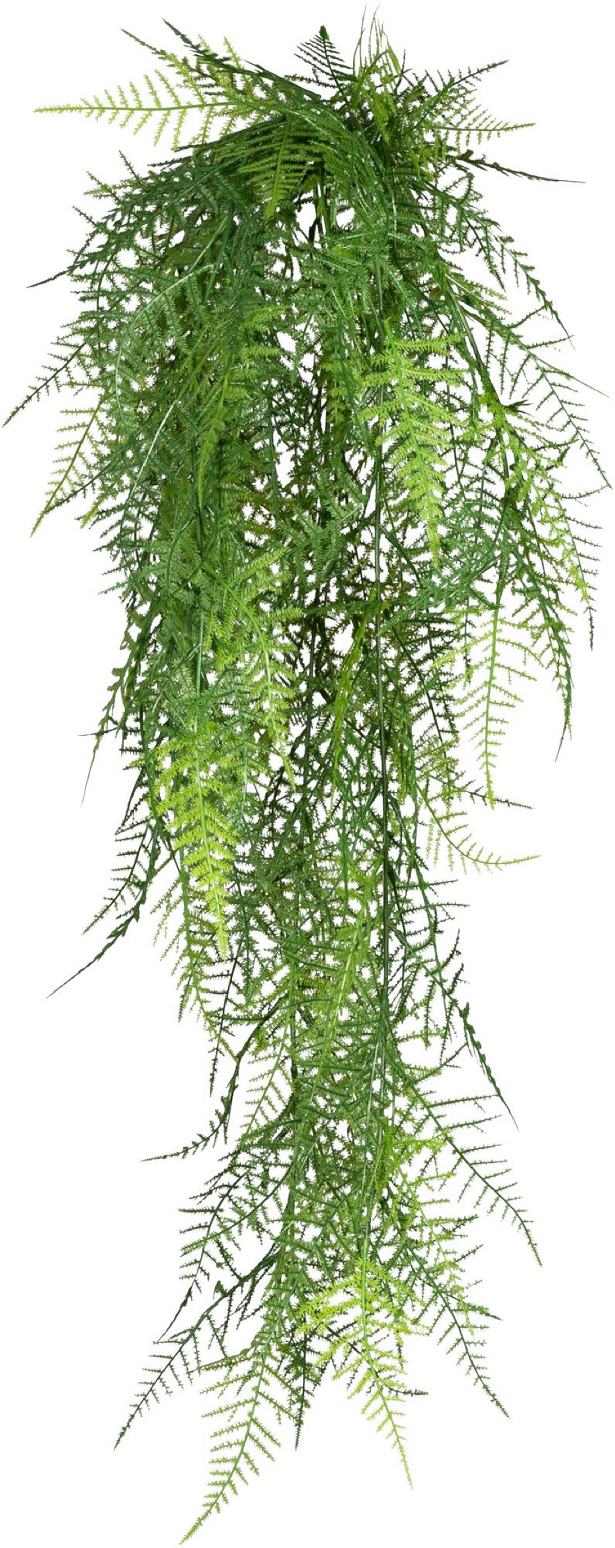 Kunstpflanze, Hängepflanze Grün, H: 80 Cm - Grün, Design, Kunststoff (80cm) - P & B