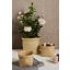 Aufbewahrungskörbchen Gent S - Naturfarben, MODERN, Weitere Naturmaterialien (20/20/15cm) - Luca Bessoni Aufbewahrungskörbchen Gent S - Naturfarben, MODERN, Weitere Naturmaterialien (20/20/15cm) - Luca Bessoni