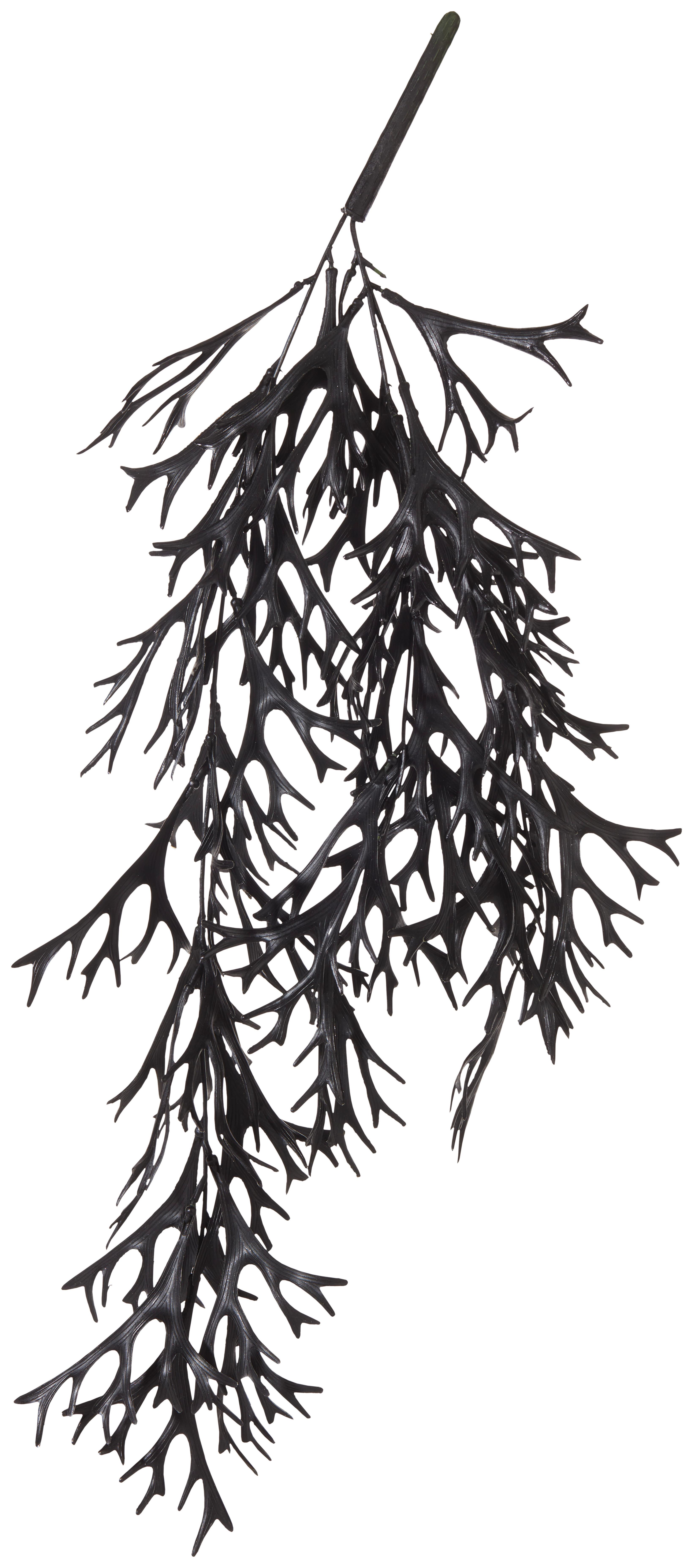 Kunstpflanze in Schwarz