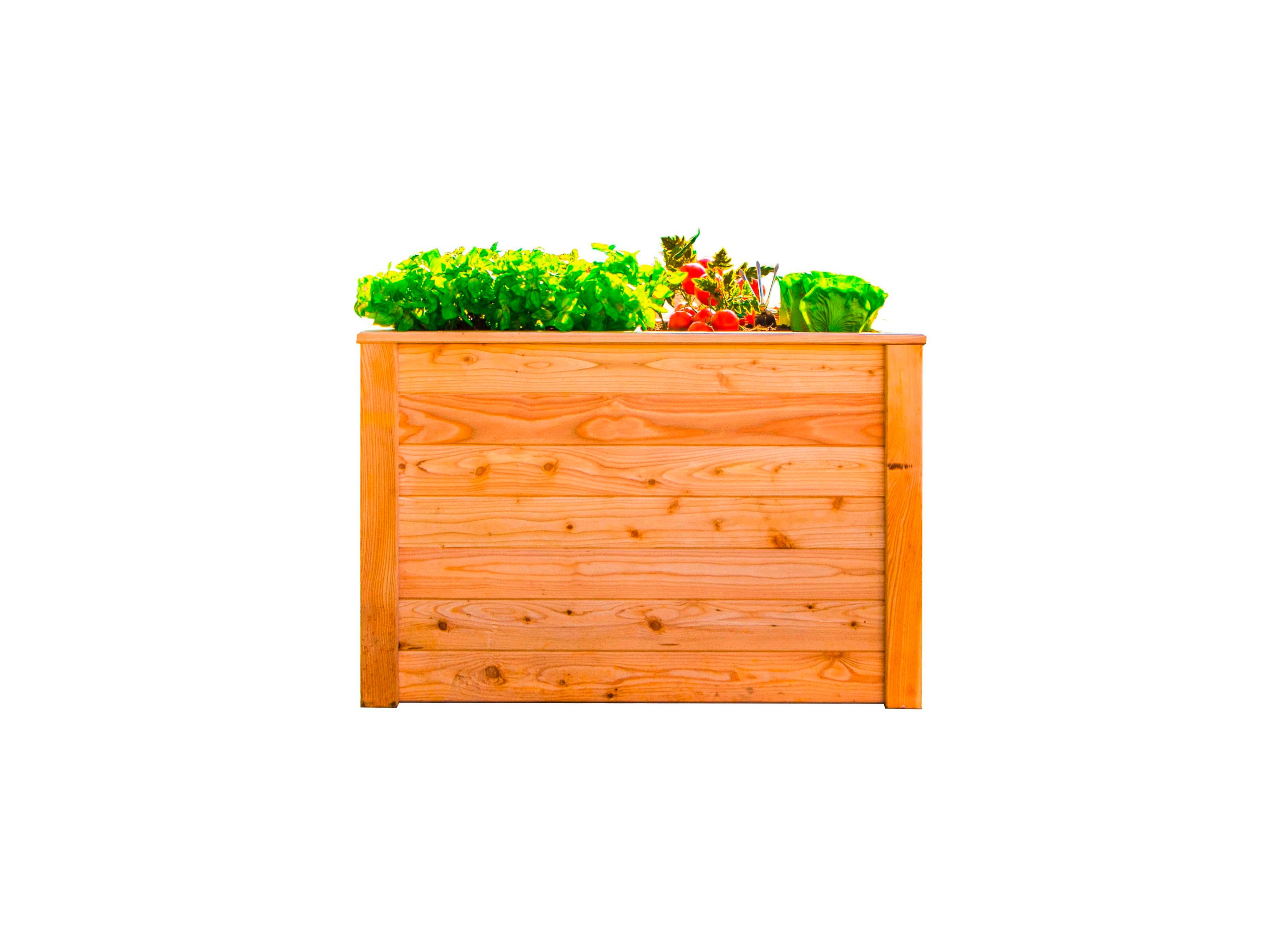 Hochbeet Hochbeet Lärche 100 - Lärchefarben, Basics, Holz (65/66/100cm)