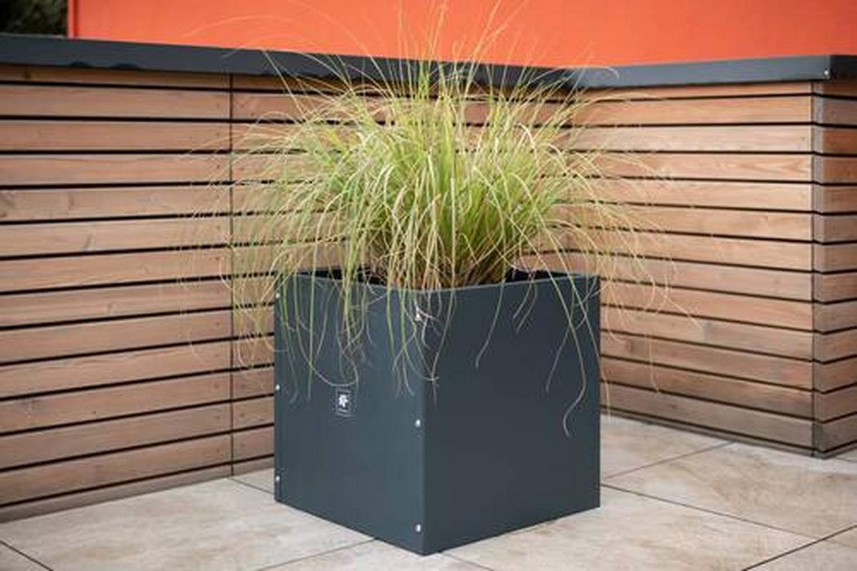 PFLANZENTOPF PFLANZKASTEN 50X50X50 - Anthrazit, Basics, Metall (50/50/50cm)