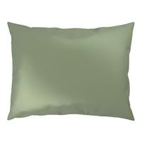 POŤAH NA VANKÚŠ XENIA UNI - svetlozelená, Modern, textil (40/60cm) - Premium Living