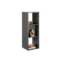 Regal Pisa 13 Anthrazit B: 38,4 Cm - Anthrazit, Trend, Holzwerkstoff (38,4/113/35cm)