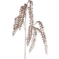 Kunstpflanze Grevilleazweig - Champagner, Basics, Kunststoff (83cm)
