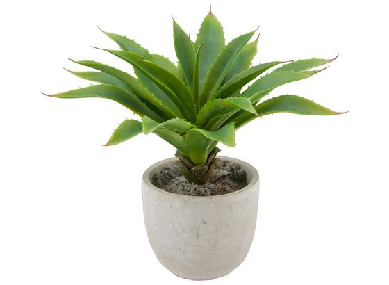 Rostlina Umělá Agave I - zelená, Konvenční, umělá hmota (30cm) - Mömax modern living Rostlina Umělá Agave I - zelená, Konvenční, umělá hmota (30cm) - Mömax modern living
