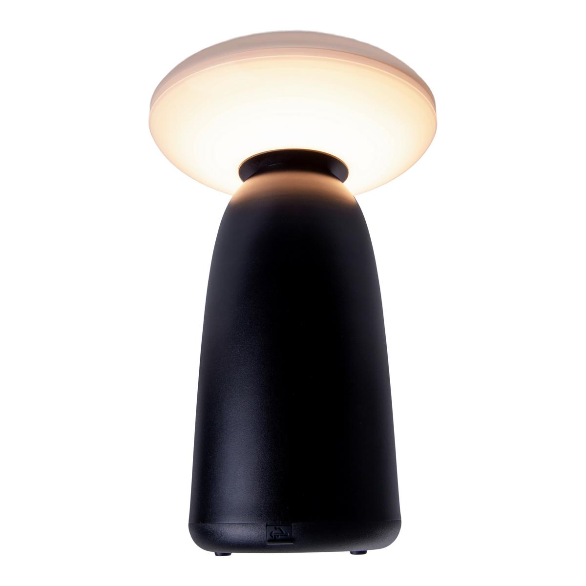 Solarleuchte 3191022 - Schwarz, Design, Kunststoff/Metall (16/22,5cm) - Näve
