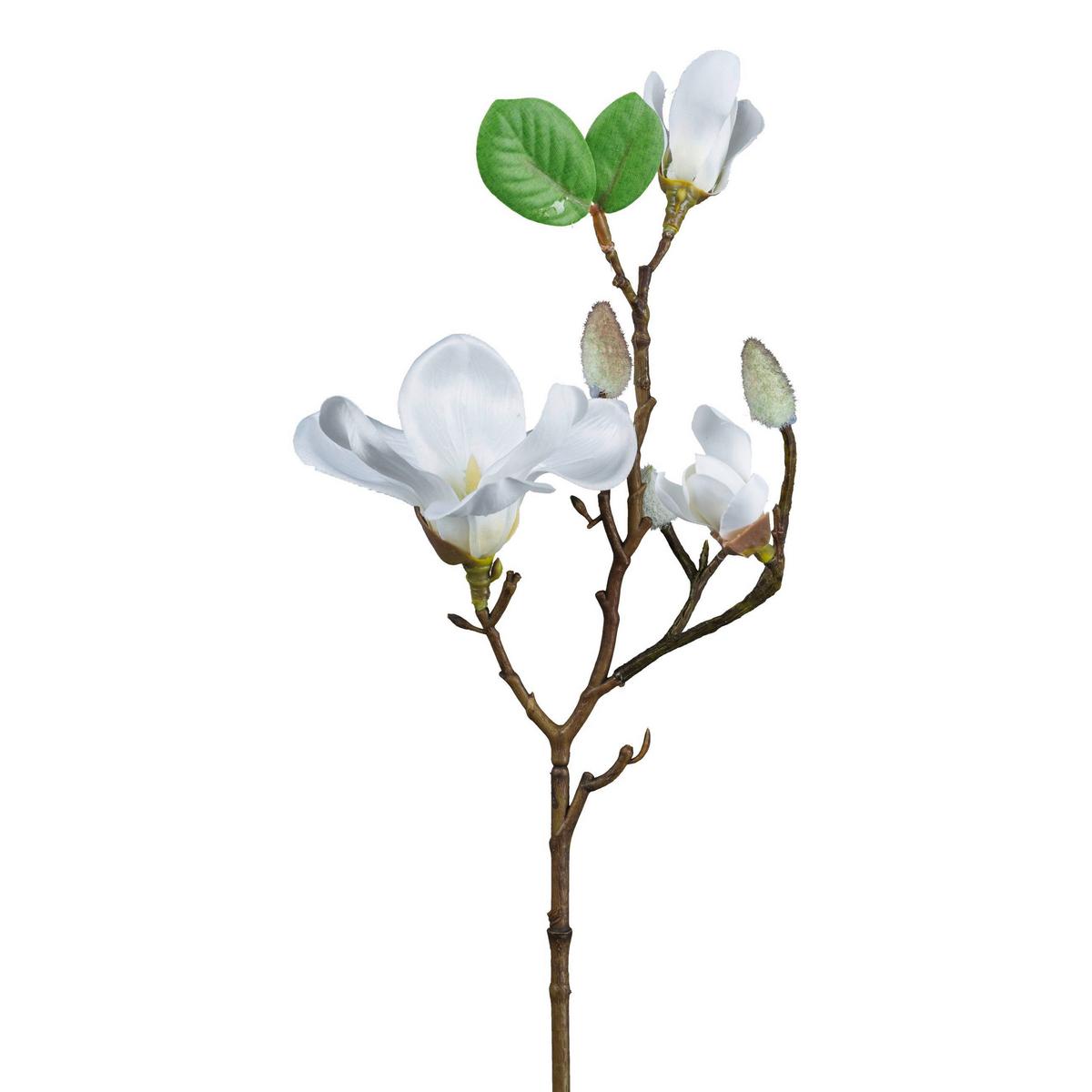 Műnövény Magnólia Ág - barna/fehér, Basics, műanyag (50cm)