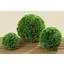 Trávová Guľa 15 Cm - zelená, plast (15cm) - Mömax modern living Trávová Guľa 15 Cm - zelená, plast (15cm) - Mömax modern living