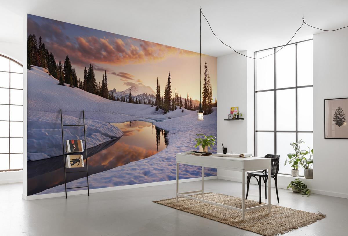Fototapete America The Beautiful - Multicolor, Trend, Textil (450/280cm)