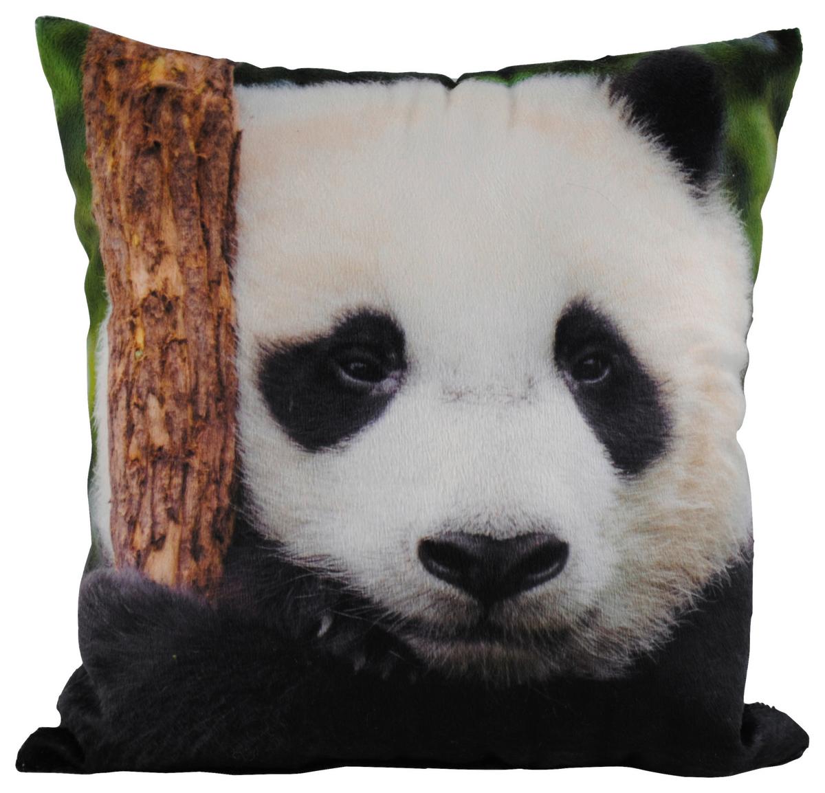 Zierkissen Xenia 25x25 Cm Samtoptik Tiermotive - Multicolor, KONVENTIONELL, Textil (25/25cm) - Ondega