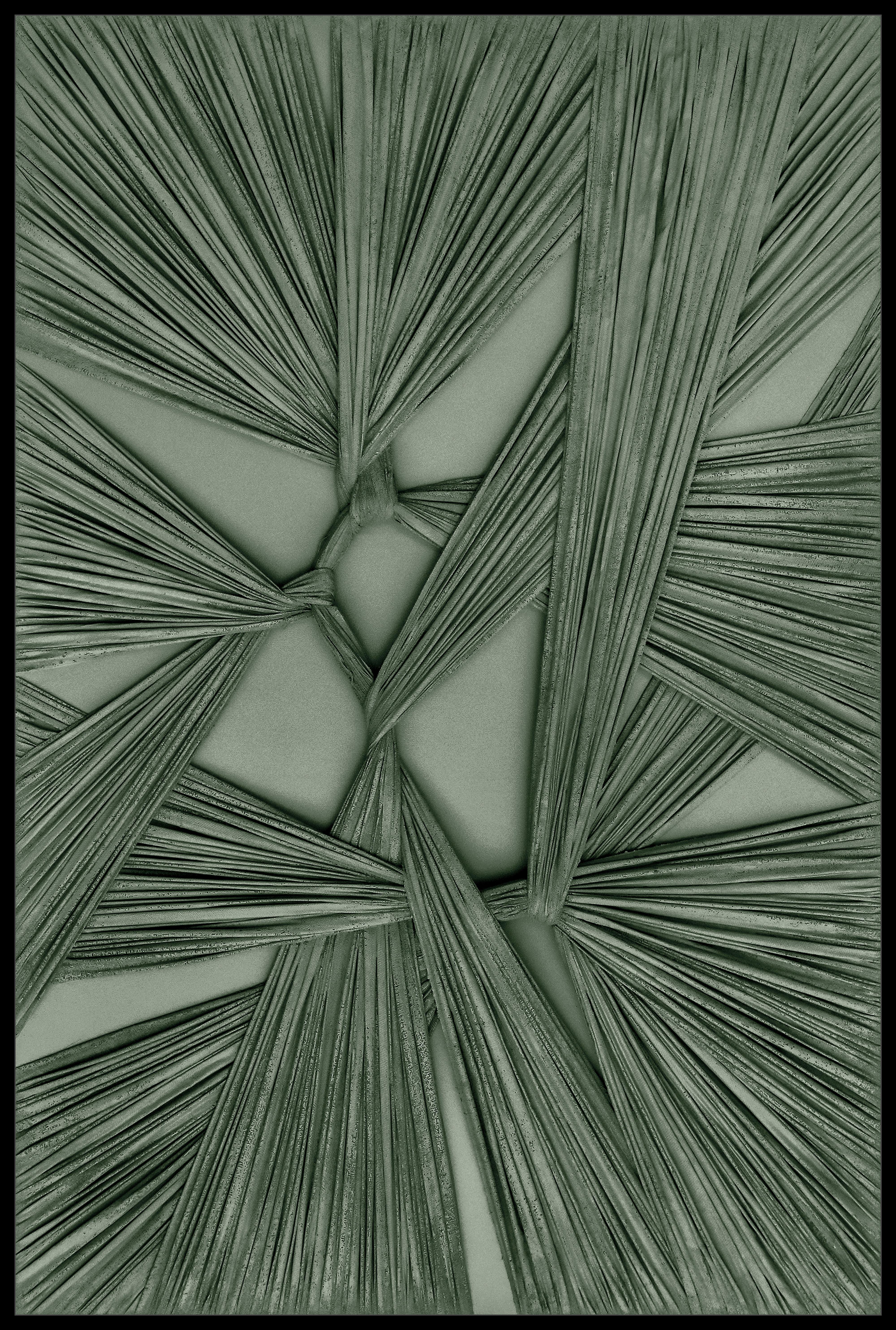 Obraz na plátne Denise, ca. 60/90cm - čierna/zelená, Modern, drevo/textil (60/90cm) - Premium Living