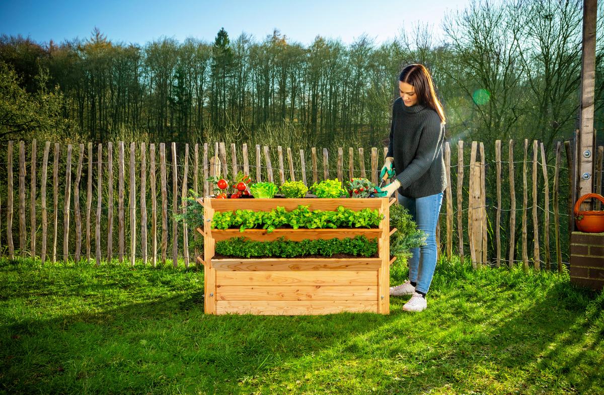 Hochbeet Echtholz Lärche 124x73x91 Cm Lärchefarben - Lärchefarben, Basics, Holz (124/73/91cm)