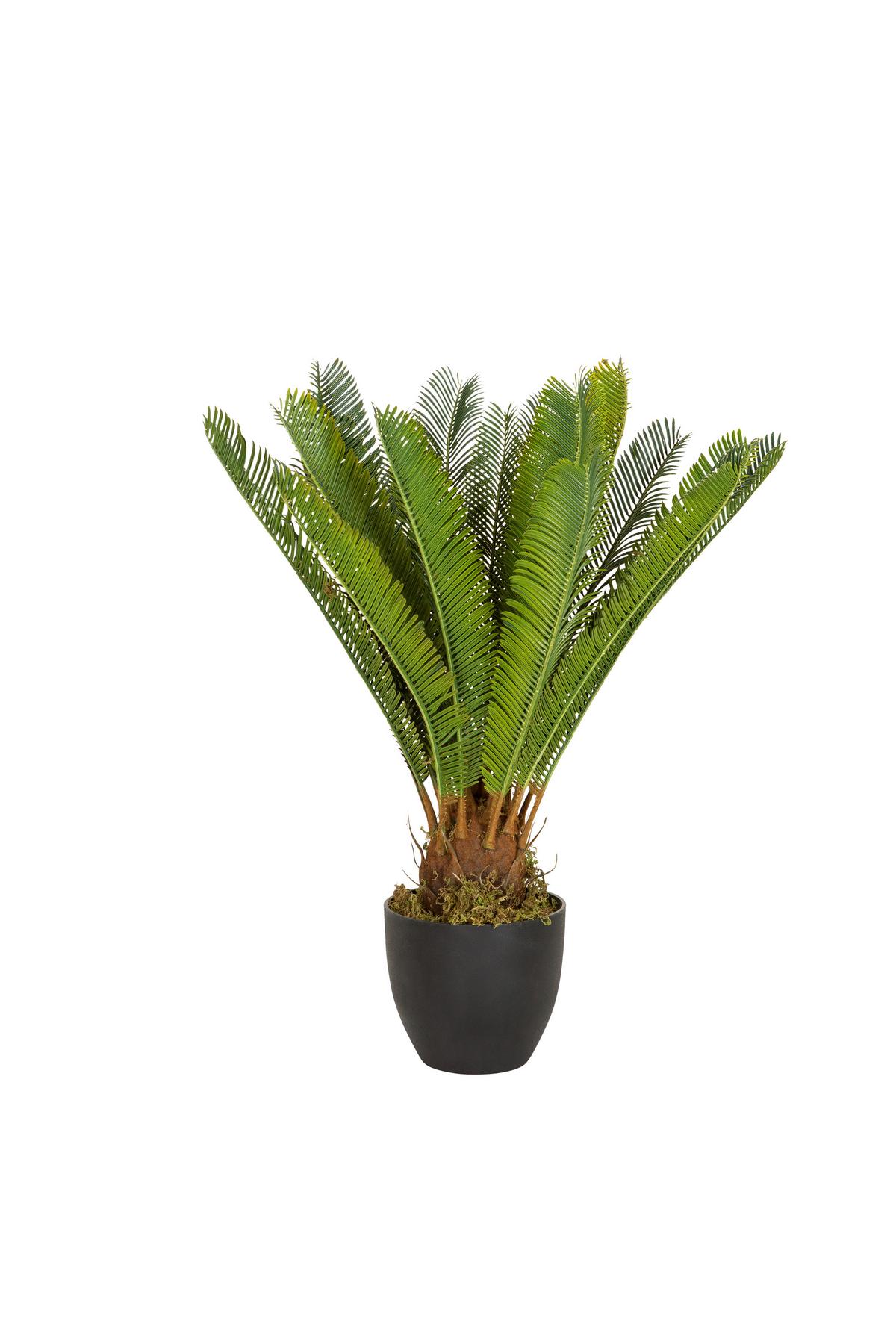 Kunstpflanze Cycas - Schwarz/Grün, Basics, Kunststoff/Textil (70/70/70cm) - MID.YOU