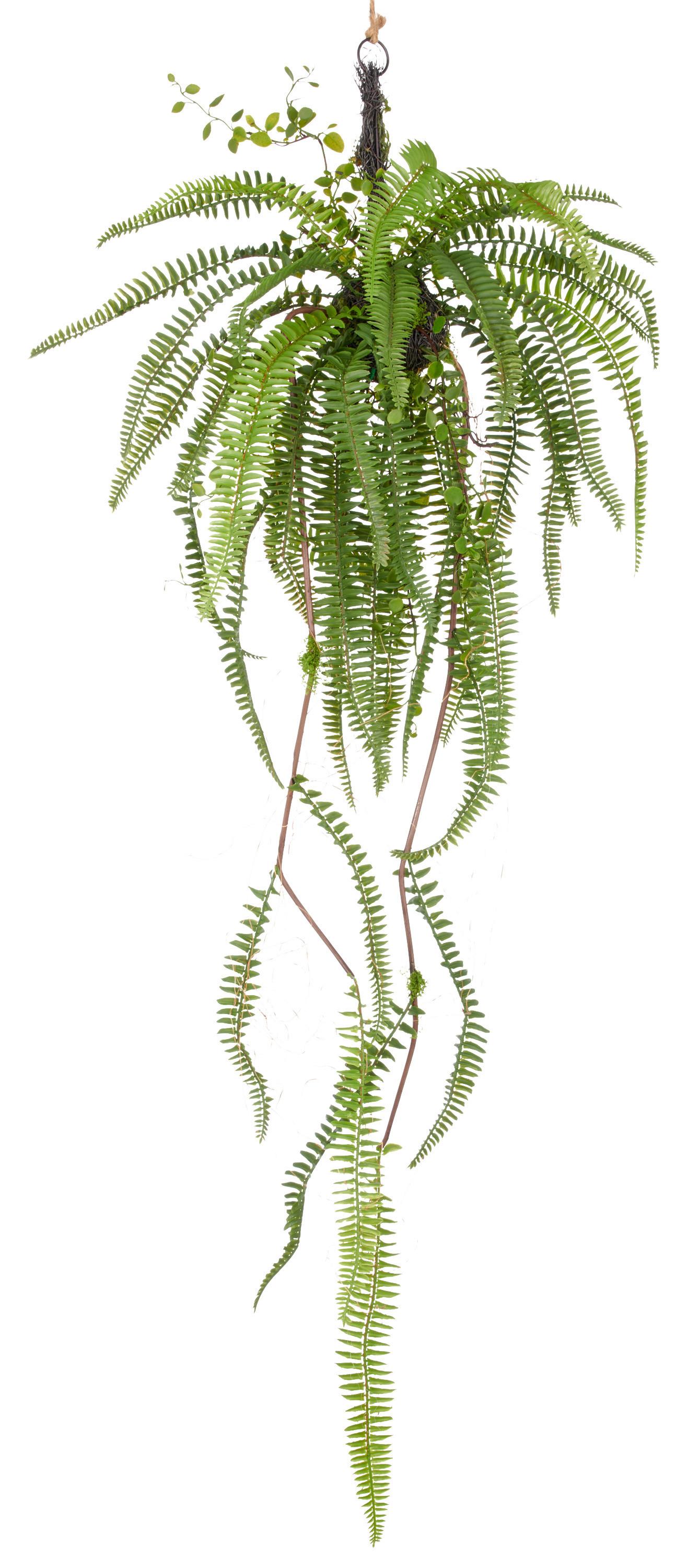 Umělá rostlina FARNHÄNGER II - zelená, Lifestyle, plast (100cm) - Mömax