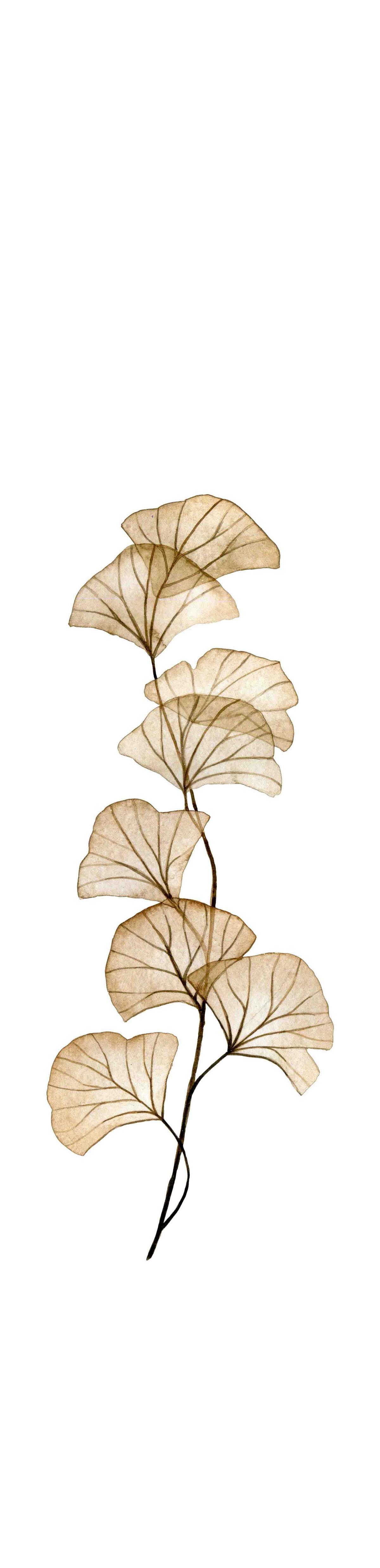 Flächenvorhang Berto - Sandfarben, Natur, Textil (60/260cm)