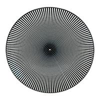 Plytký tanier SHIVA - čierna/biela, Lifestyle, keramika (27/2,5cm) - Mömax