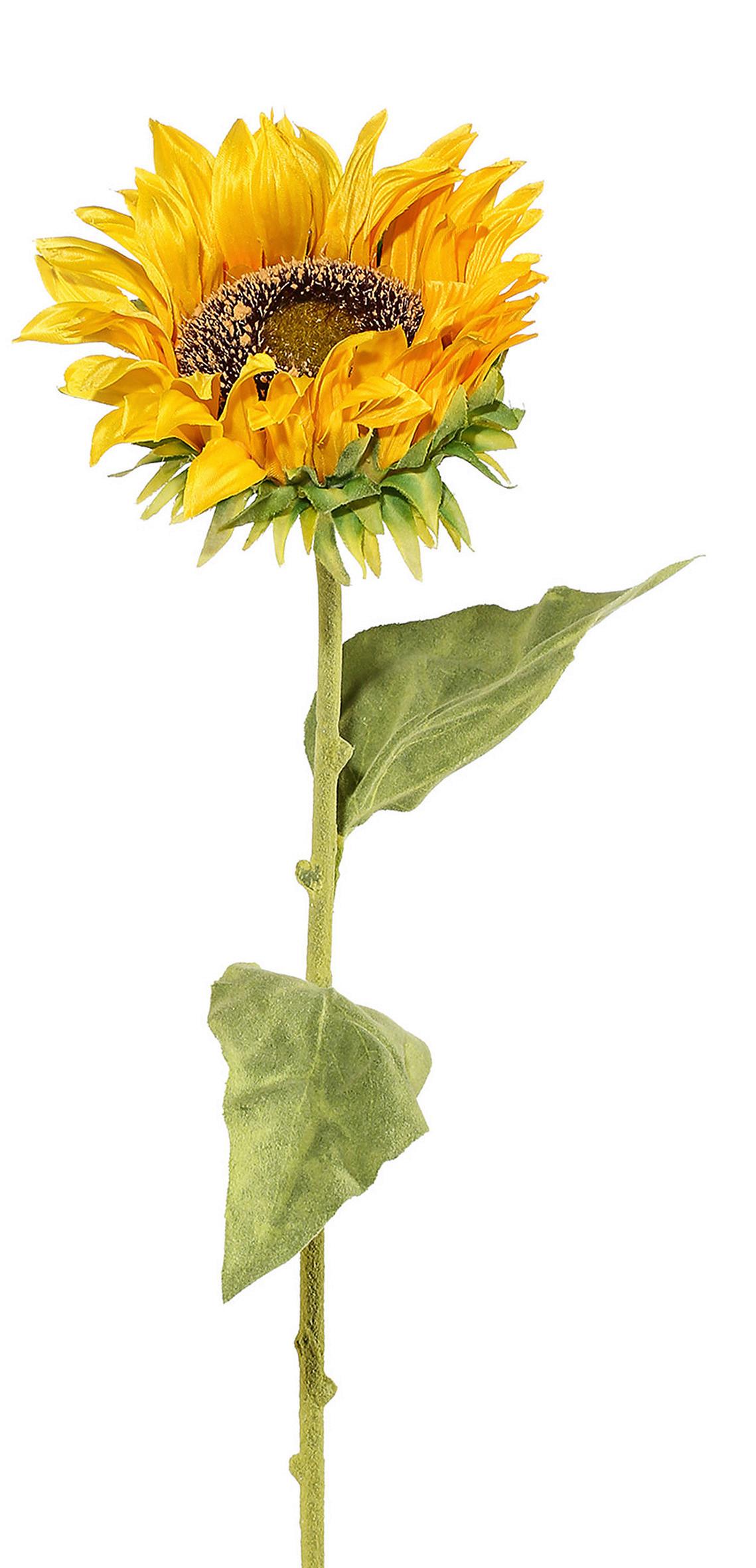 Kunstpflanze Sonnenblume Gelb L: 66 cm, Mia - Gelb/Grün, KONVENTIONELL, Kunststoff/Textil (13/66cm)