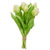 Tulipán TULPENBUND I - bílá/zelená, Konvenční, kov/plast (31cm) - Mömax