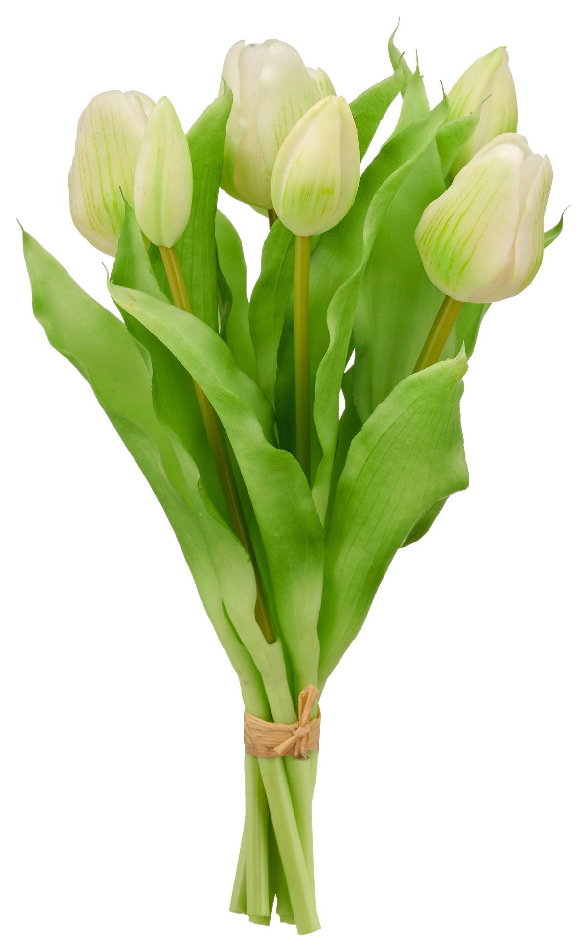 Tulipán TULPENBUND I - bílá/zelená, Konvenční, kov/plast (31cm) - Mömax