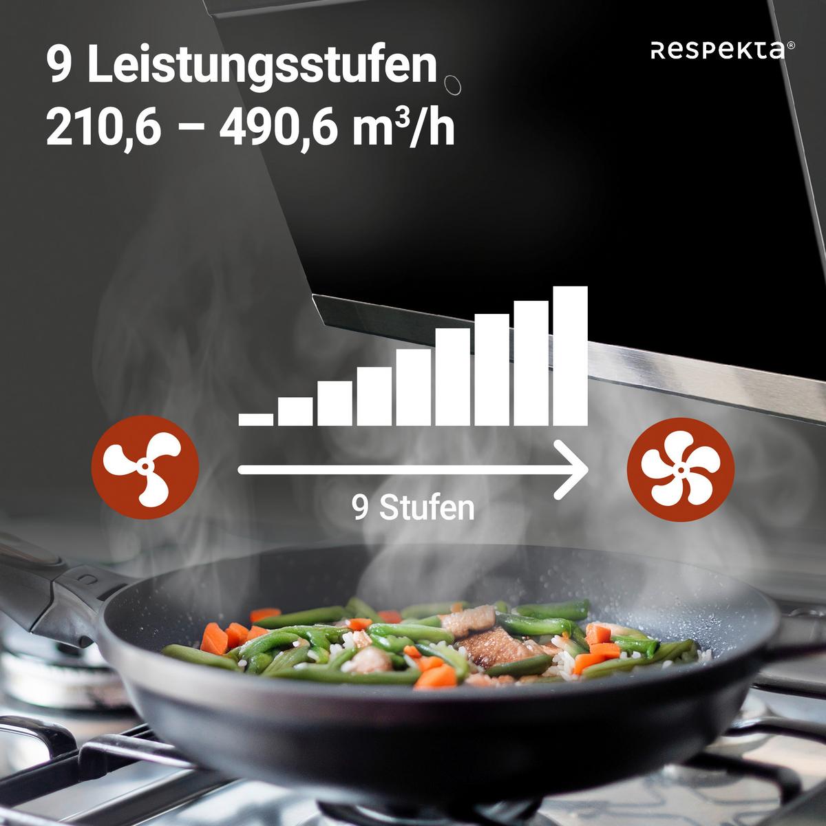 Kopffreihaube Respekta Skala Metall/Glas Schwarz B: 59,5 cm - Schwarz, Trend, Glas/Metall (59,5/74,2-109,2/38,5cm) - Respekta