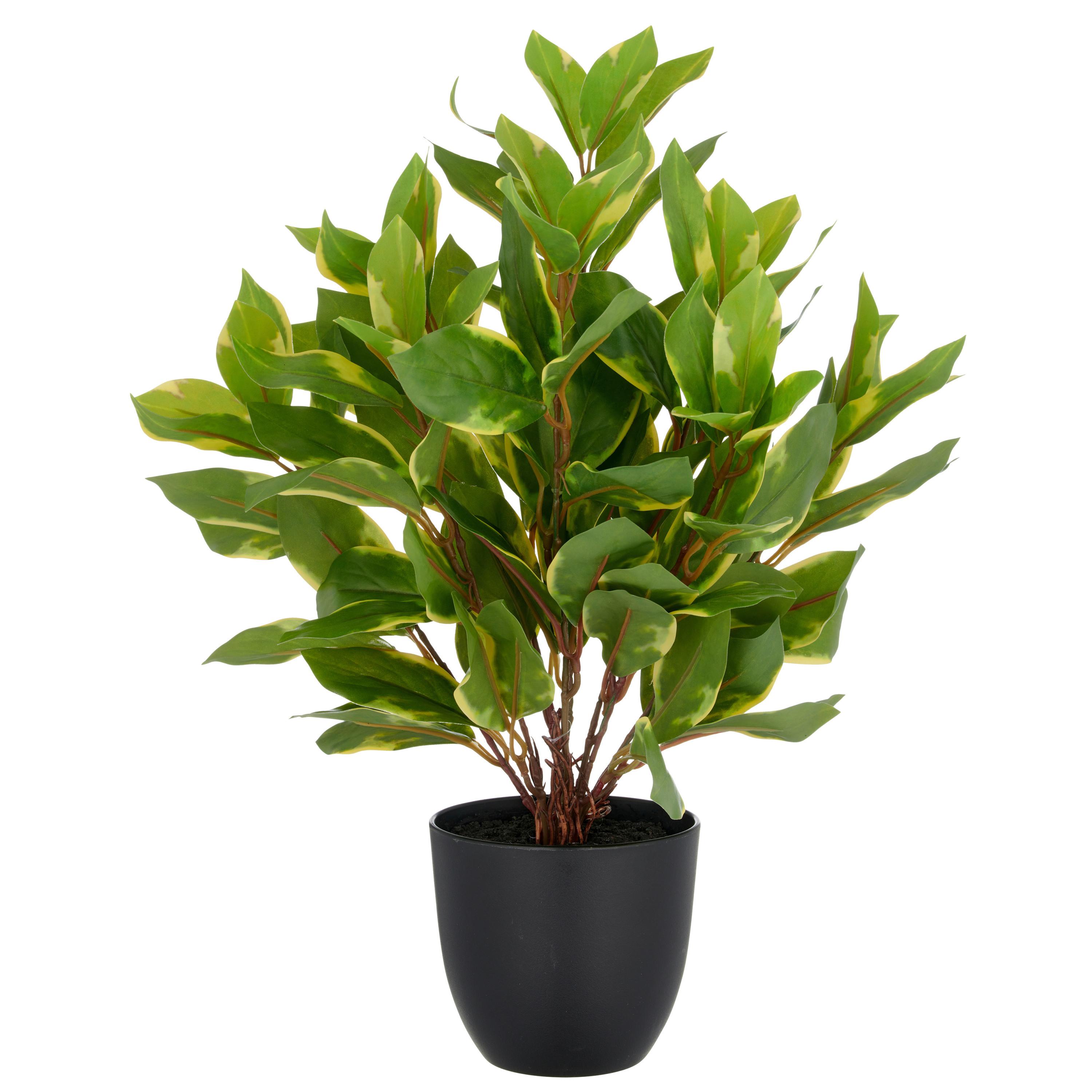 Kunstpflanze Epipremnum Aureum Kunststoff, Grün, H: 40 Cm - Schwarz/Braun, Basics, Kunststoff (40cm) - P & B