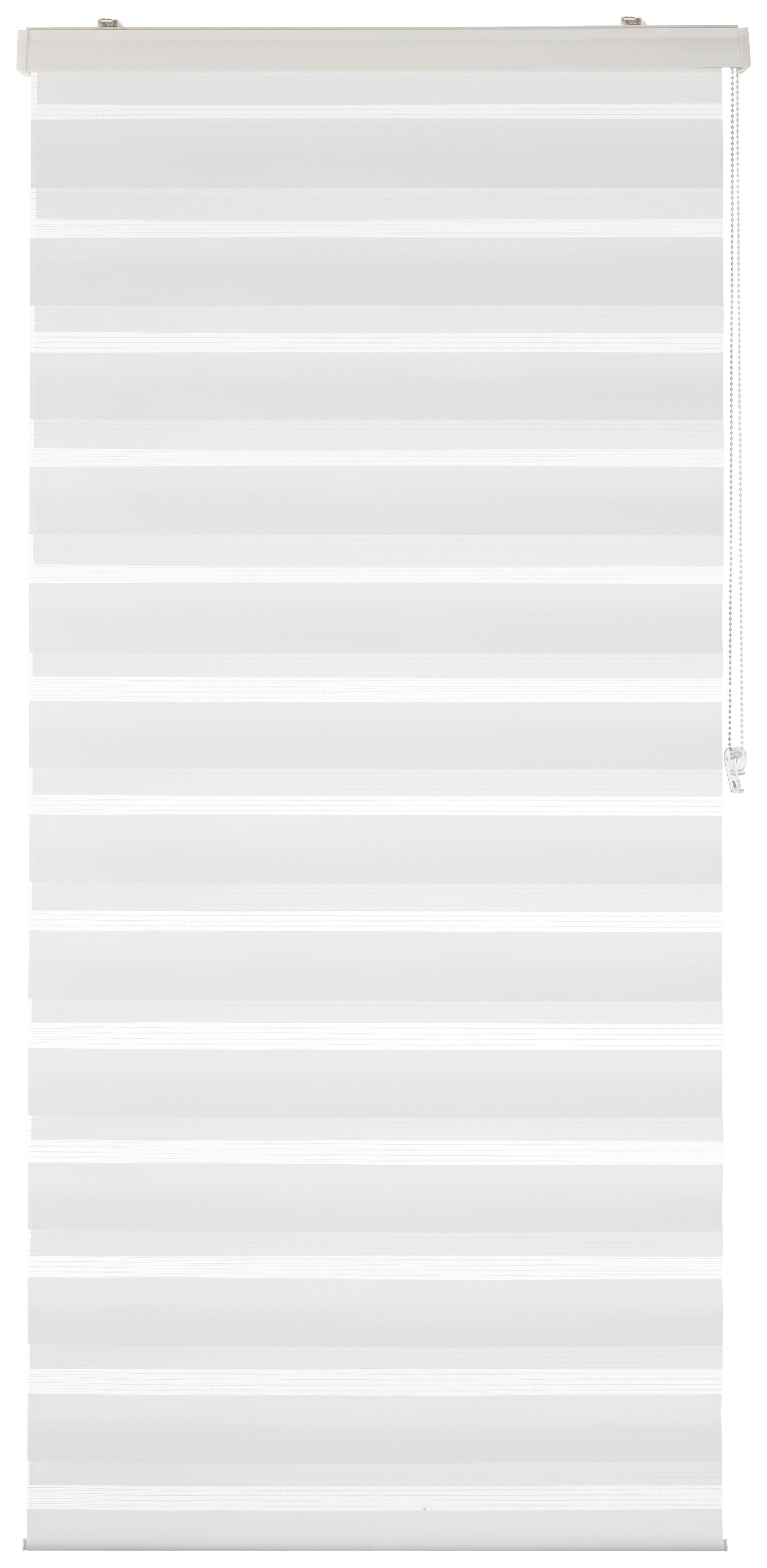 DUÁLNÍ ROLETA Thomas, 80x160cm, bílá - bílá, textil/plast (80/160cm) - Premium Living