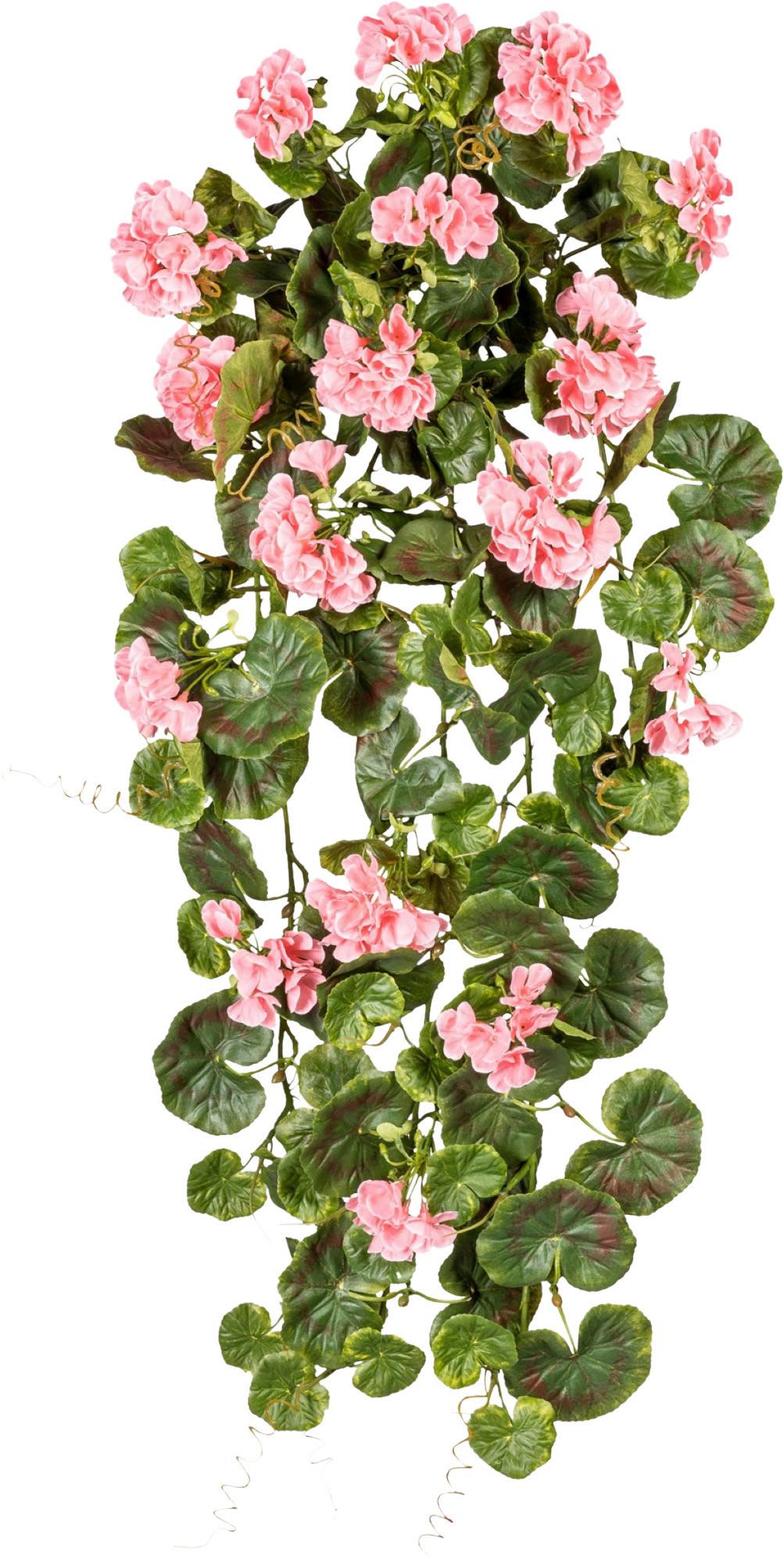 Kunstpflanze, Geranie Grün, Rosa, H: 80 cm - Rosa/Grün, Design, Kunststoff (80cm) - P & B