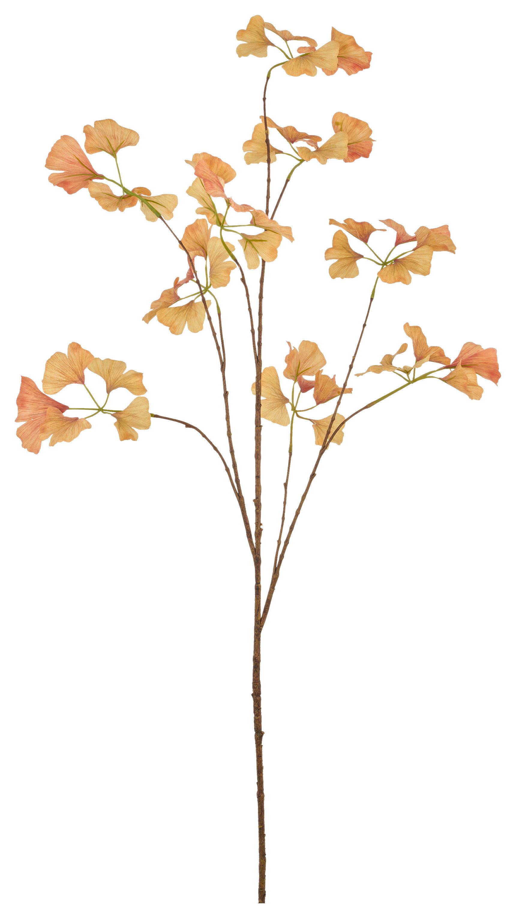 Umělá rostlina GINKOWEIG I - oranžová/hnědá, Basics, plast (126cm) - Mömax
