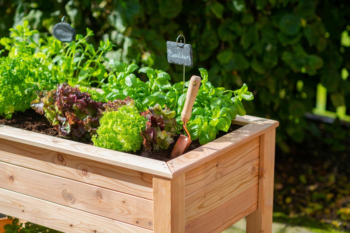 Hochbeet Hochbeet - Lärchefarben, KONVENTIONELL, Holz (120/65/75cm)