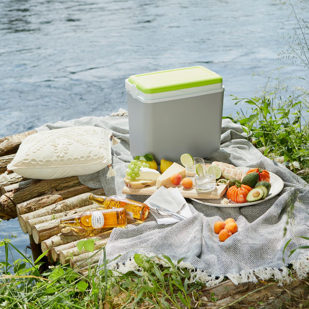 Kühlbox 10 L Max Mit Klappgriff Grau/Grün - Grau/Grün, Basics, Kunststoff (30/19/28,5cm)
