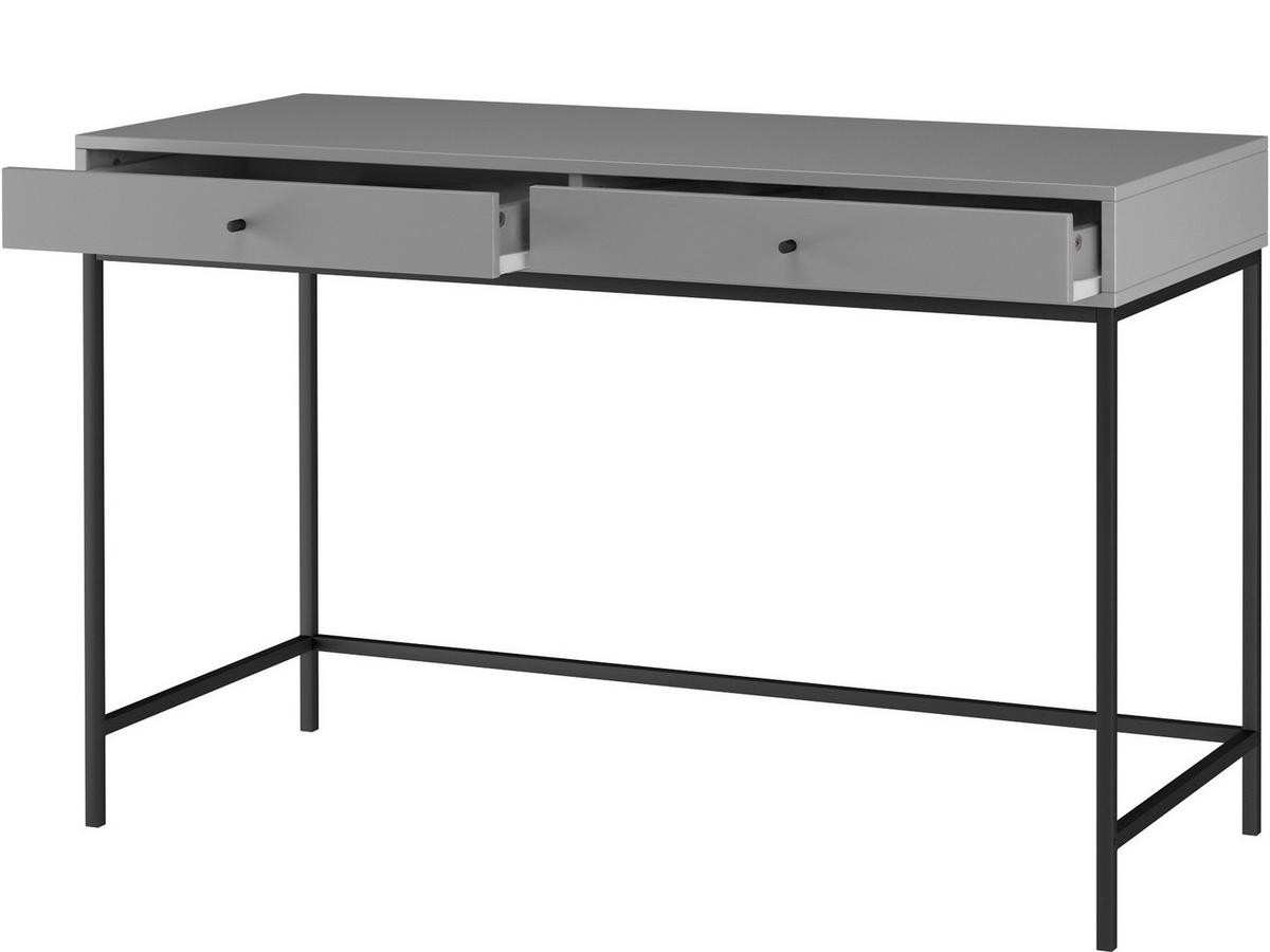 Schreibtisch Celine Grau B: 120cm - Schwarz/Grau, Design, Holzwerkstoff/Metall (120/76/50cm) - MID.YOU