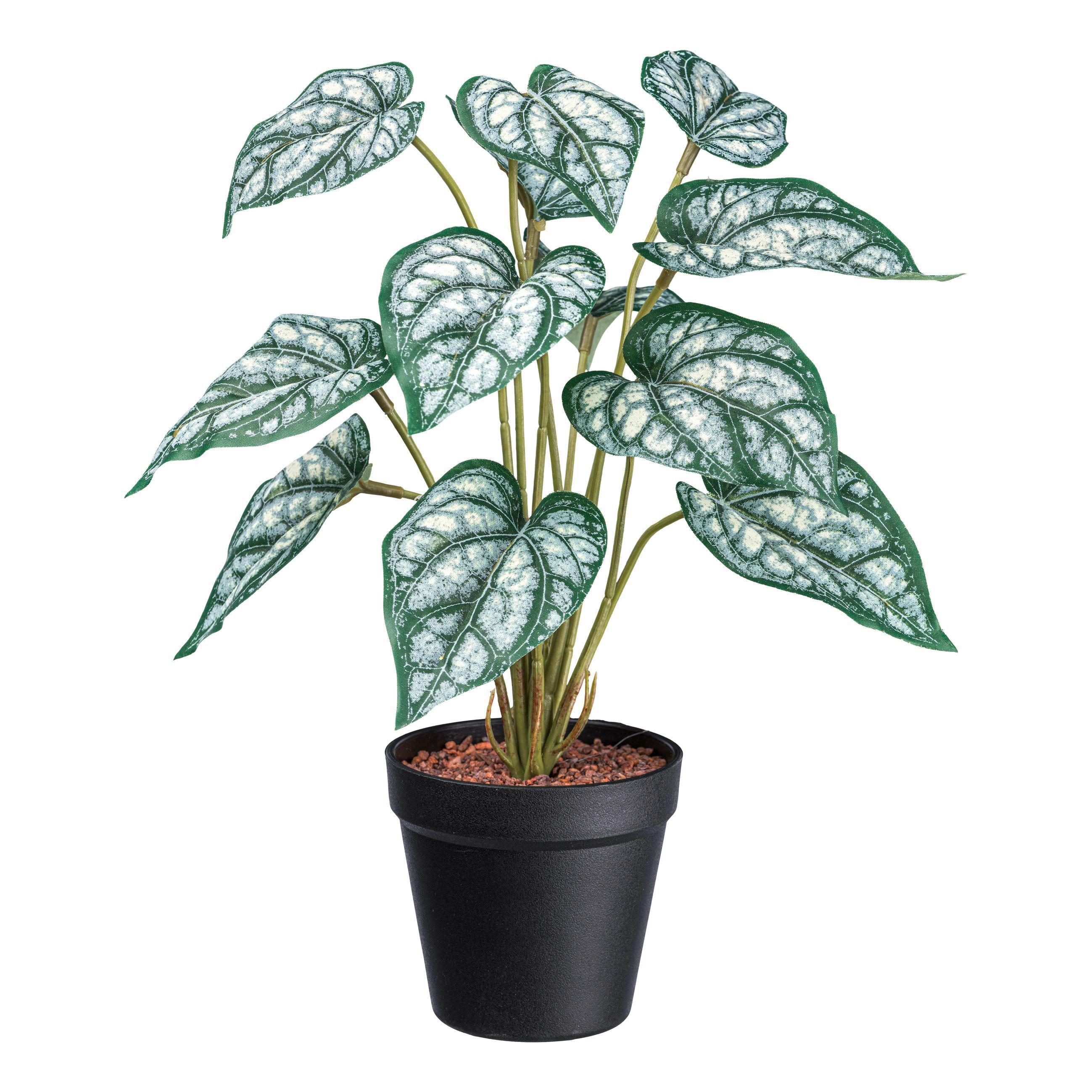Umelá Rastlina V: 38cm - čierna/zelená, Basics, plast (38cm) - Modern Living