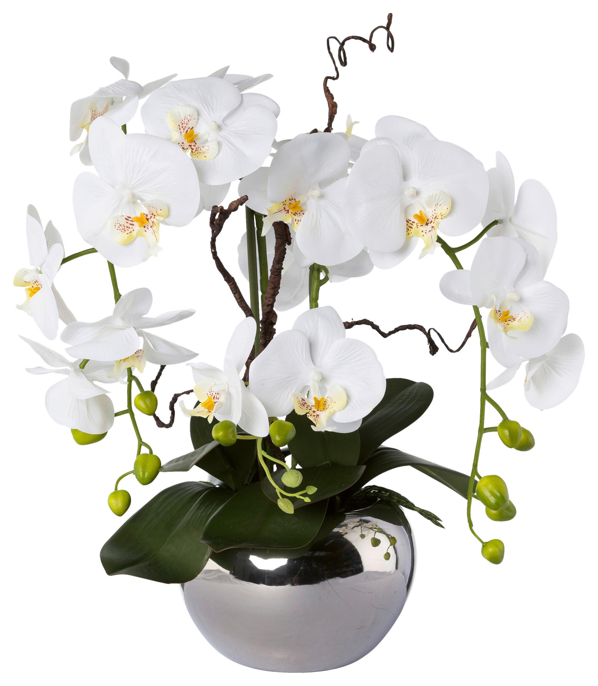 Kunstpflanze Orchideen, Weiß Topf: Silberfarben, H: 55 cm - Silberfarben/Weiß, Design, Keramik/Kunststoff (55cm) - P & B