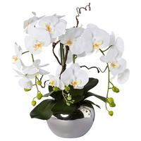 Kunstpflanze Orchideen, Weiß Topf: Silberfarben, H: 55 cm - Silberfarben/Weiß, Design, Keramik/Kunststoff (55cm) - P & B