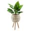 Übertopf Rachel - Braun, LIFESTYLE, Naturmaterialien/Holz (20/24/20cm) - Luca Bessoni Übertopf Rachel - Braun, LIFESTYLE, Naturmaterialien/Holz (20/24/20cm) - Luca Bessoni