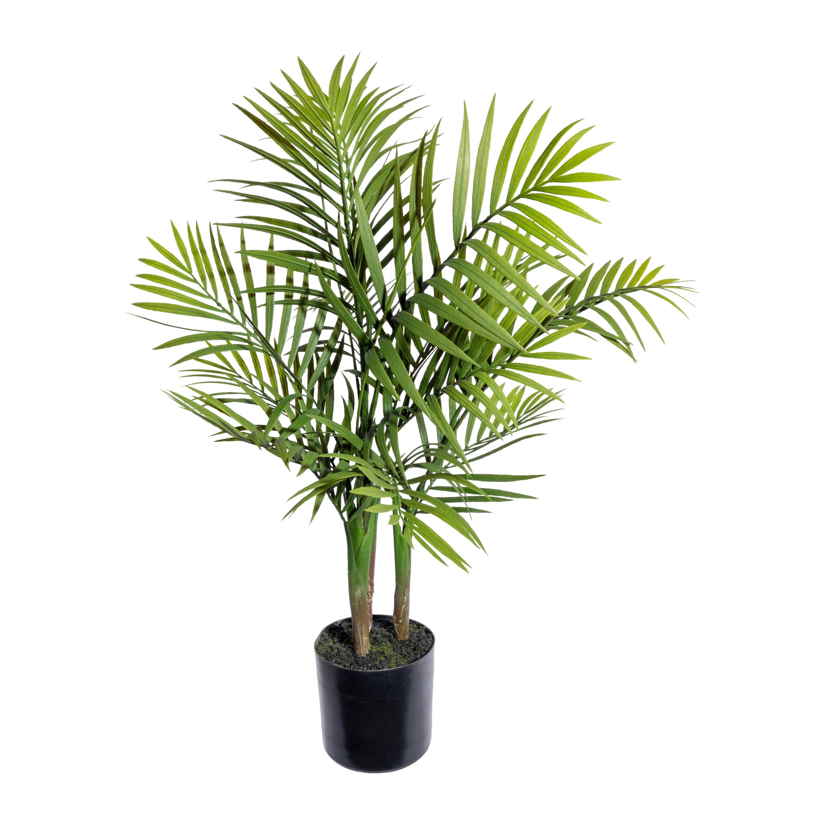 Kunstpflanze Palmen Braun/Grün/Schwarz, 65 cm - Schwarz/Braun, Design, Kunststoff (65cm) - P & B