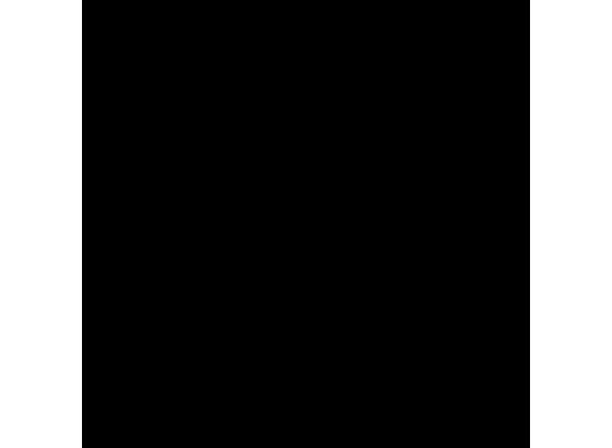 Klebefolie Uni Schwarz - Schwarz, KONVENTIONELL, Kunststoff (90/210cm) Klebefolie Uni Schwarz - Schwarz, KONVENTIONELL, Kunststoff (90/210cm)