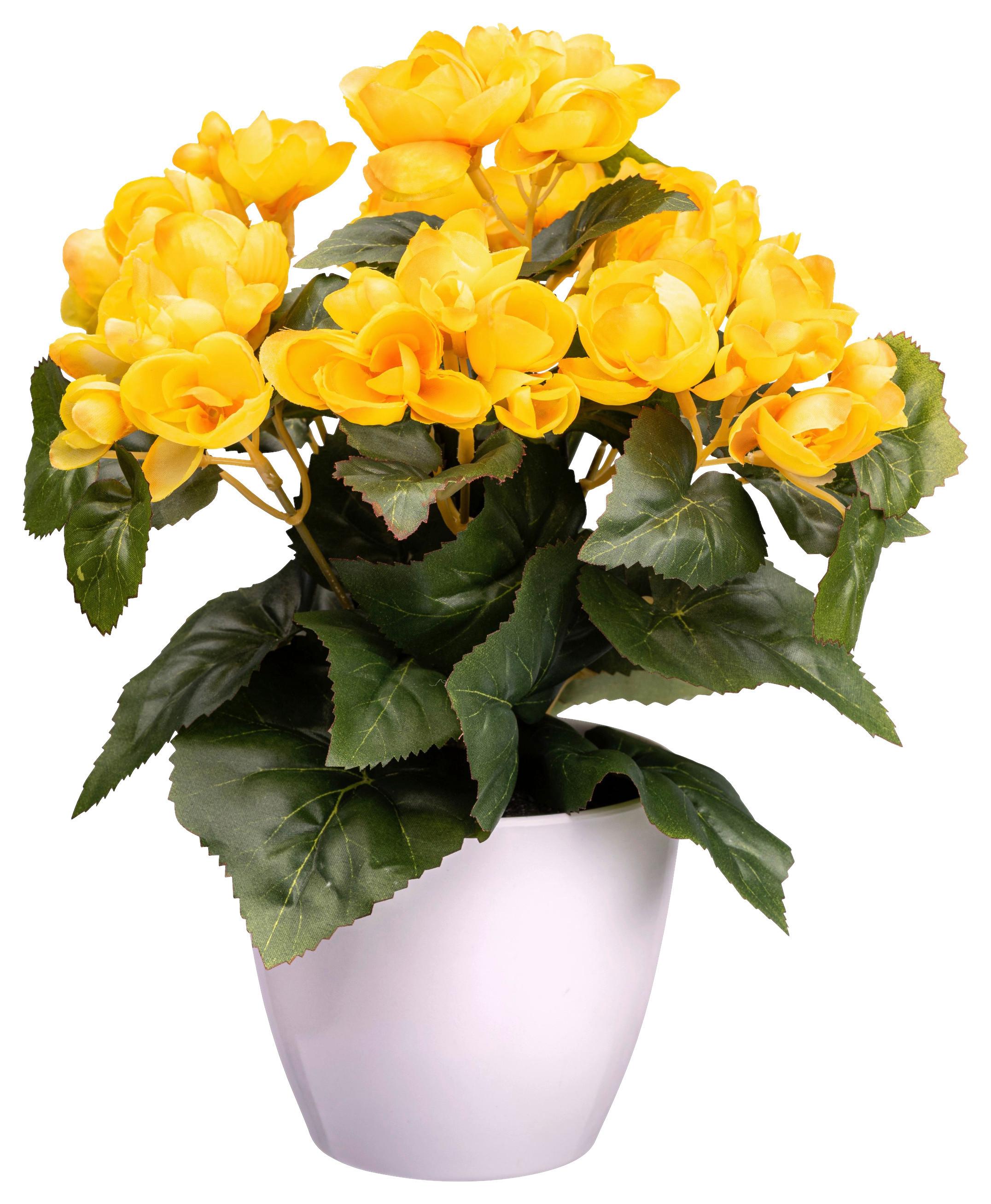 Kunstpflanze Blühpflanzen Gelb/Grün/Weiß, 28 cm - Gelb/Weiß, Design, Kunststoff (28cm) - P & B